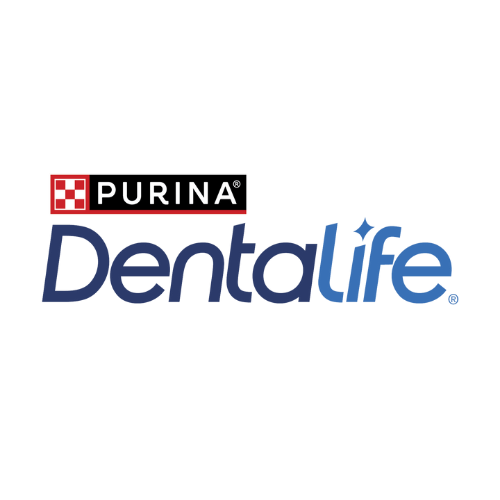 Dentalife