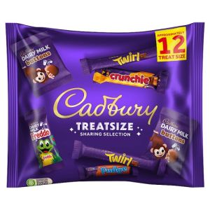 Cadbury Family Treatsize 223G